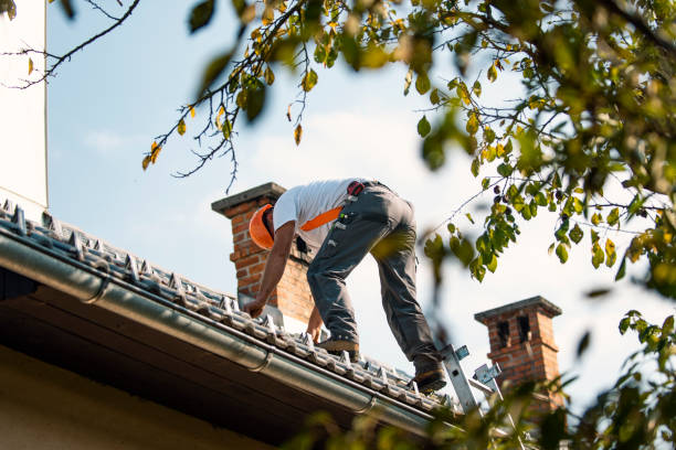 Roof Gutter Cleaning in Watertown, FL